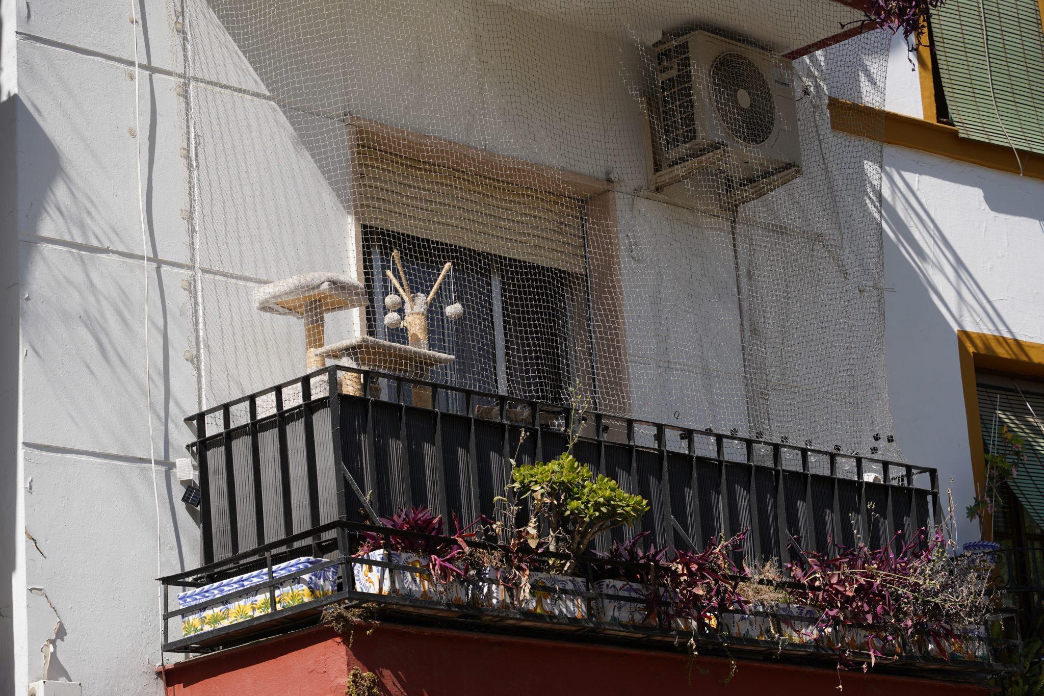 A city balcony with plants in painted pots along the railing, behind netting that keeps a cat in.